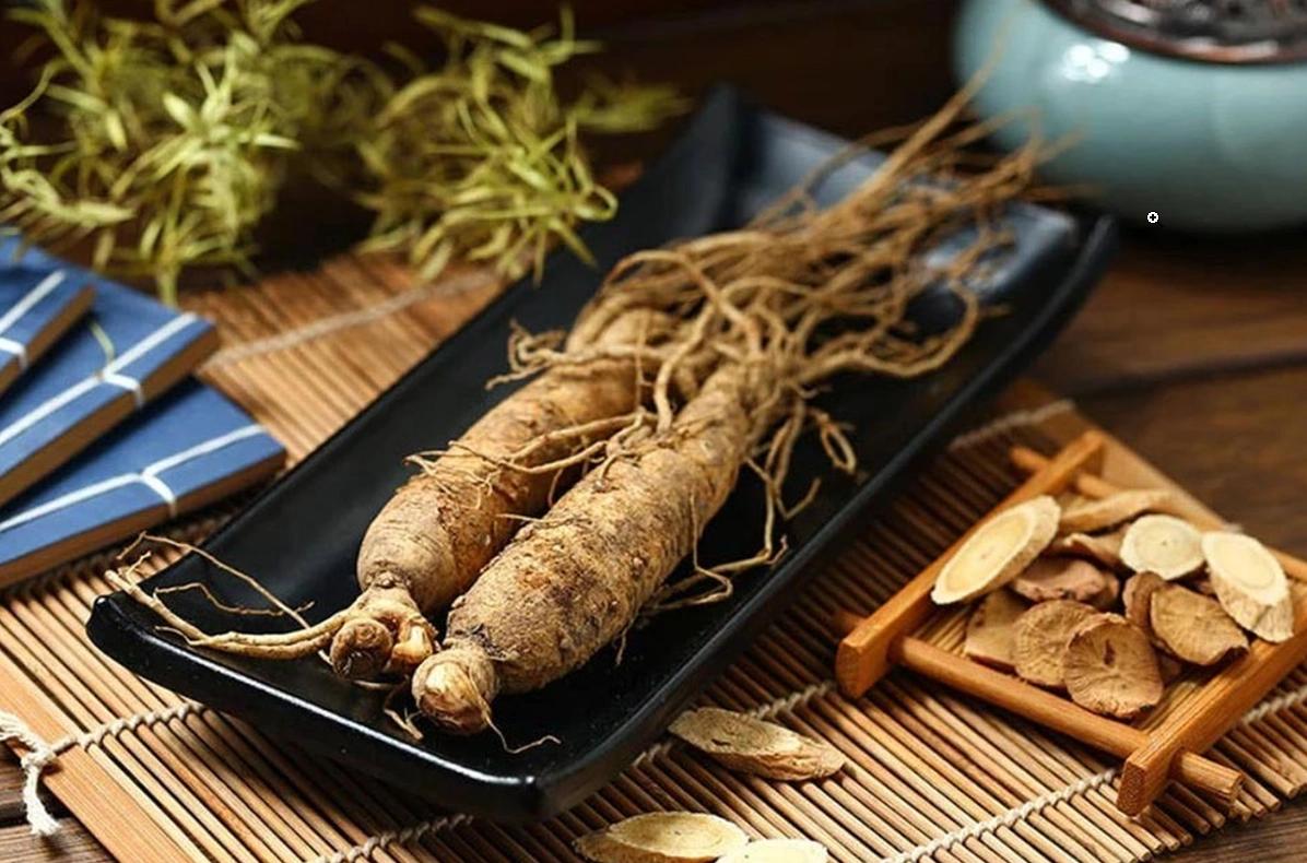 Các loại Nhân Sâm nổi tiếng