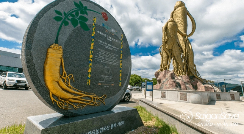 Nguồn gốc Sâm Hàn Quốc